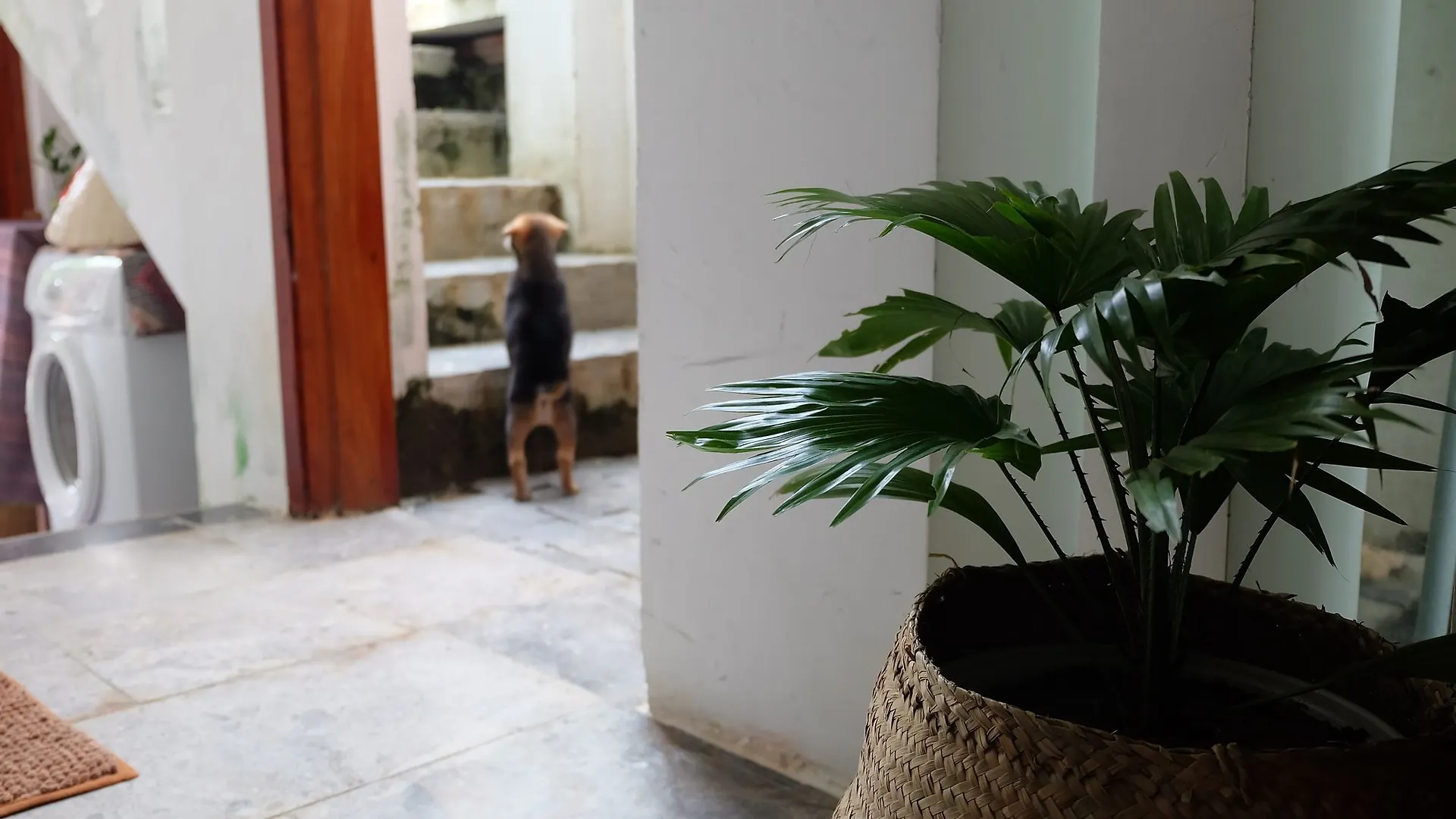 Mali Home 1 Hoi An 2*,  Vietnam